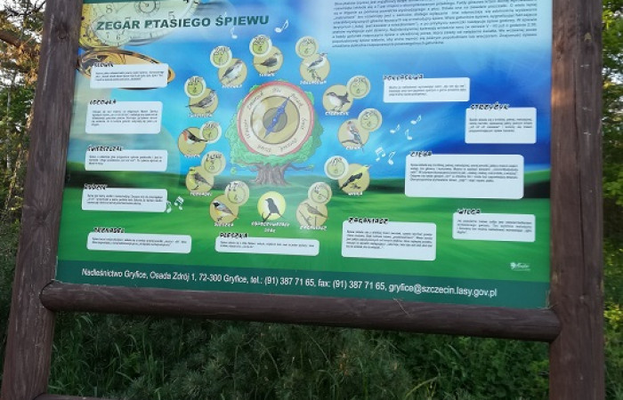 Ścieżki edukacyjne