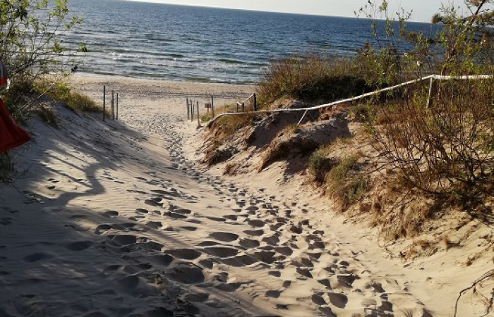 Zejście natura 2021